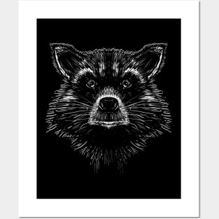 Raccoon Posters and Art